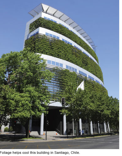Foliage helps cool this building in Santiago, Chile.